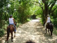 Curso de Ecoturismo Gratuito